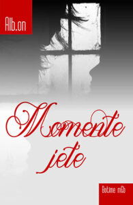 Momente jete - roman