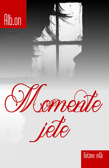 Momente jete - roman